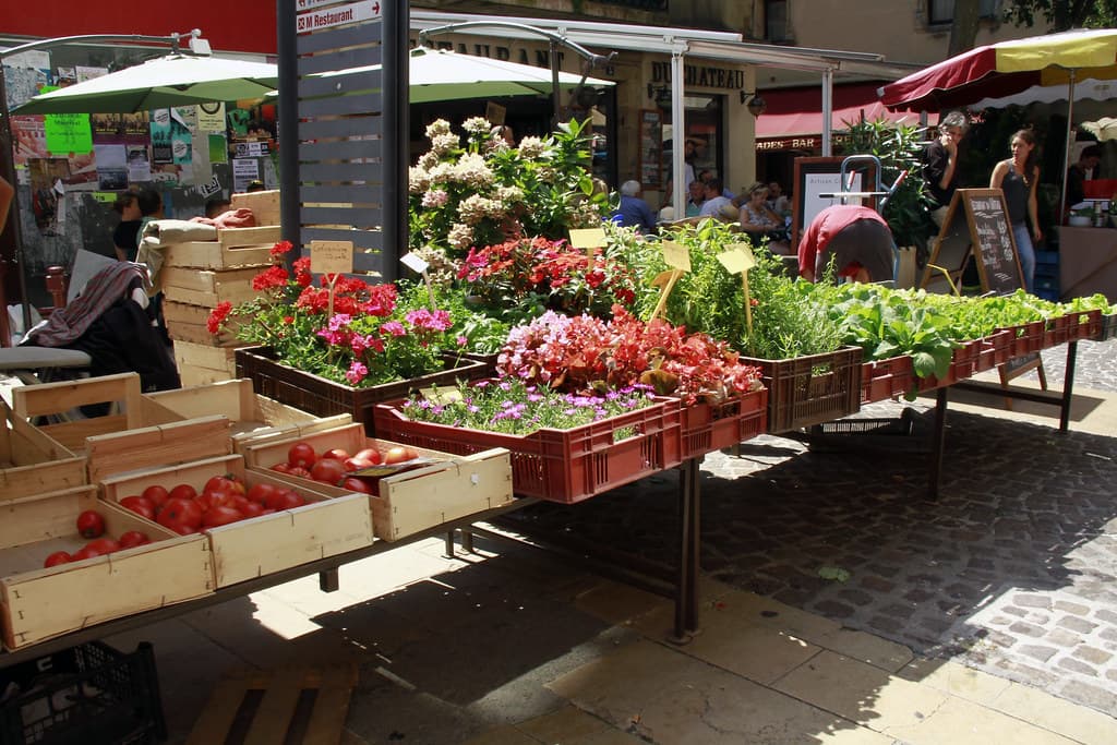 Étals de fleurs et de légumes installés sur une place en début de matinée