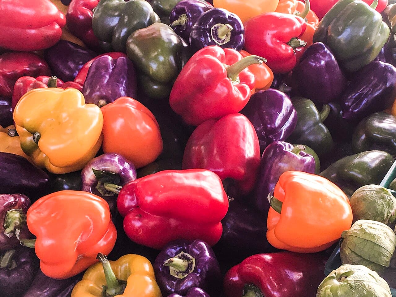 Poivrons de toutes les couleurs sur un étal
