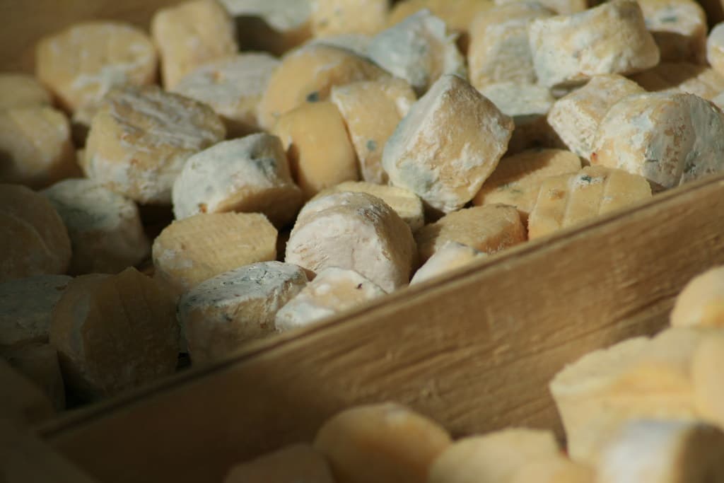 Fromages de chèvre sur l'étal d'un fromager